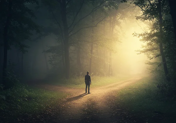 A person at a crossroads, looking toward a path of light.